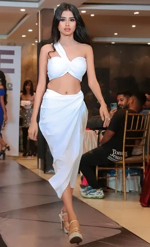 Noida escorts in hotel